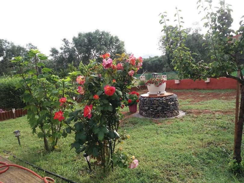 Dora'S Garden Villa Alexandroúpolis Ngoại thất bức ảnh