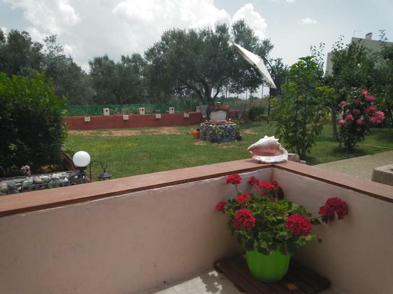 Dora'S Garden Villa Alexandroúpolis Ngoại thất bức ảnh